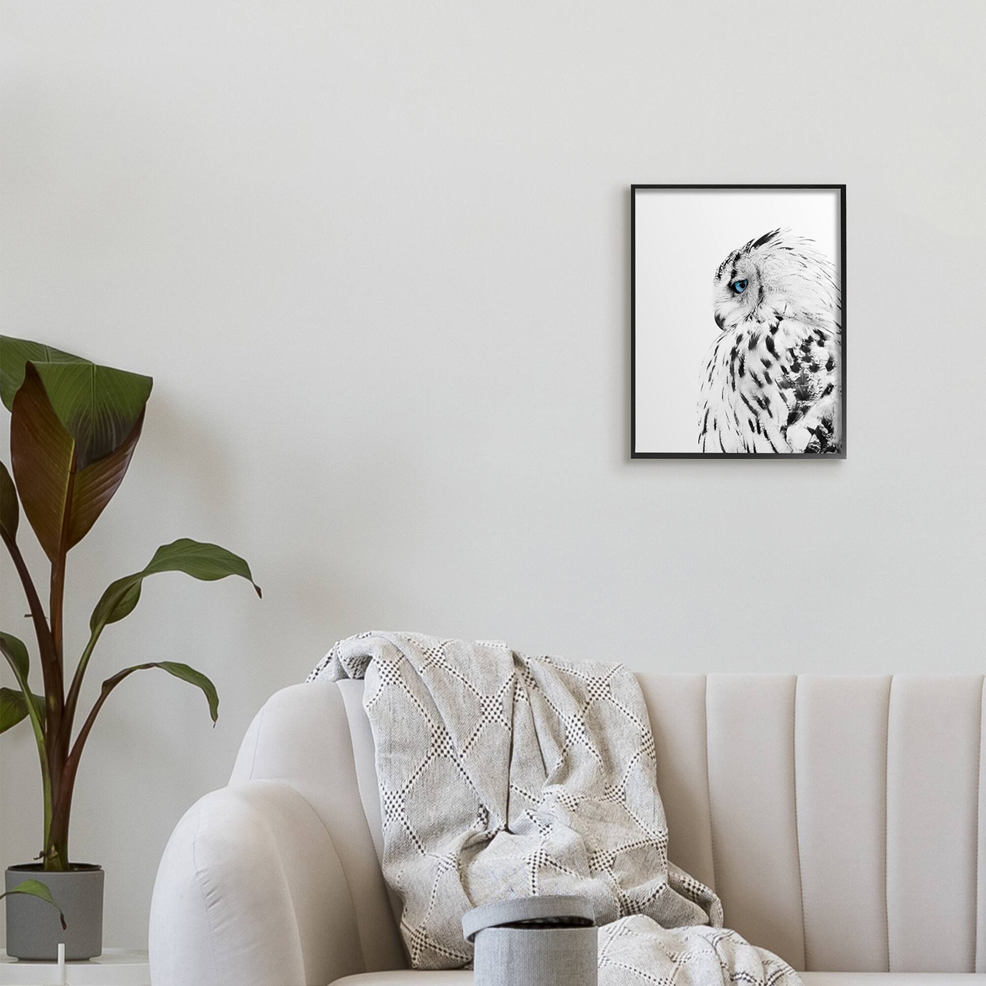 Stupell Industries Snow Owl White Feathers Peering Blue Eyes in Black Frame Wall Art